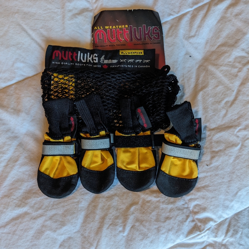 Lot of Dog Items